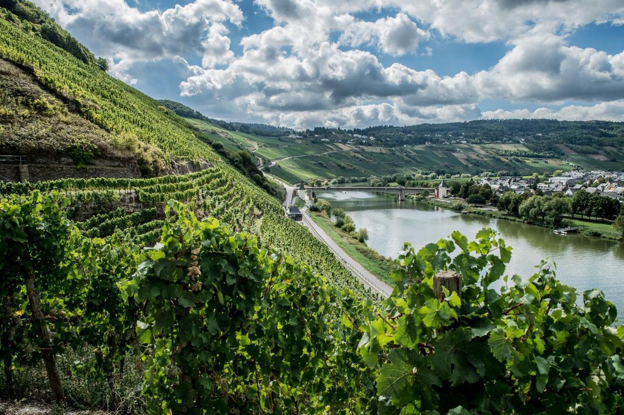 Gastehaus-Weingut Loersch Hotel Leiwen Kültér fotó