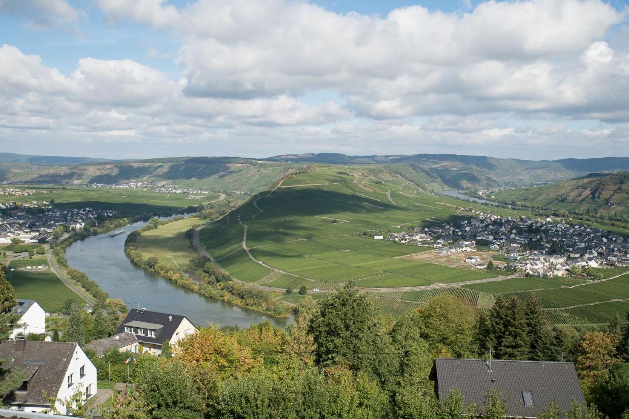 Gastehaus-Weingut Loersch Hotel Leiwen Kültér fotó